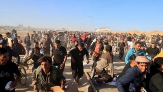  شهادت 516 فلسطینی در تله مرگ آمریکا و اسرائیل در غزه
