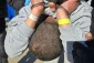 Rights groups: Israel issues 600 administrative detention orders in two weeks