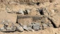 Israel has destroyed 67 percent of Gaza’s cemeteries: Ministry
