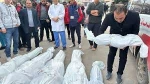 شهادت ۱۳۹ فلسطینی دیگر در غزه/ شمار شهدا به ۵۸ هزار و ۲۶ نفر رسید
 2
