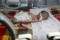The Silent catastrophe: Al-Barsh reveals Gaza newborns tragedy