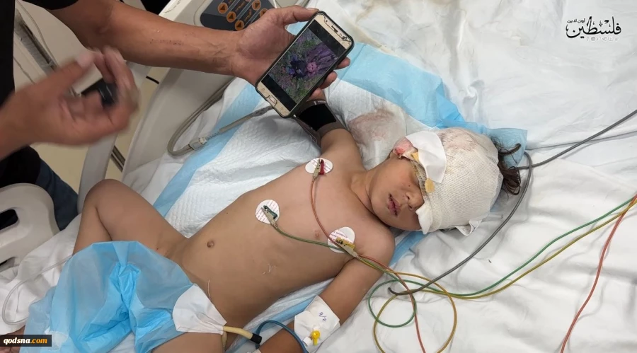 GMO: Over one million kids in Gaza are facing mass death