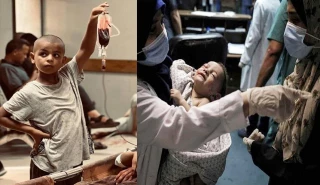 إقفال جميع مستشفيات القطاع..

مدير مجمع الشفاء: نفاد جميع المواد الطبية والغذائية من مشافي غزَّة