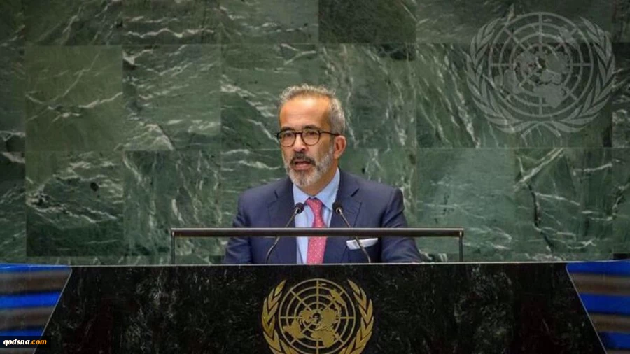 Portugal open to recognizing Palestinian state: FM