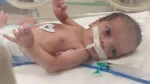 شهادت ۱۲۷ نفر از جمله ۸۵ کودک بر اثر قحطی در غزه 2