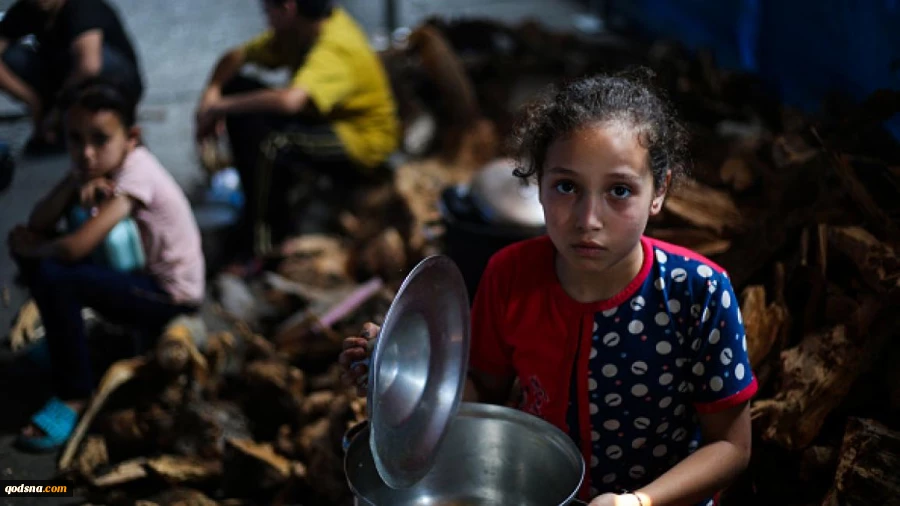 Gaza needs 600 aid truckloads daily, 250,000 baby milk cans monthly