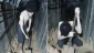 QB releases video of starving Zionist captive in Gaza