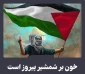 تجلی پیروزی خون بر شمشیر؛ هراس صهیونیستها از انعکاس جهانی مظلومیت خون مردم غزه 2