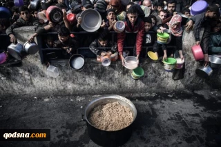 اجماع جهانی بر سر فاجعه انسانی در غزه؛ 

سازمان‌های بین‌المللی خواستار اقدام فوری شدند