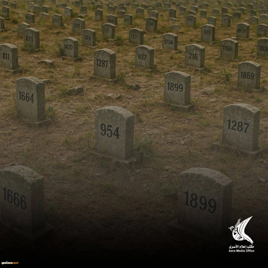 77 Palestinian captives martyred since Gaza war started