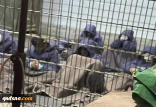 شهادت ۷۷ اسیر فلسطینی از ۷ اکتبر ۲۰۲۳