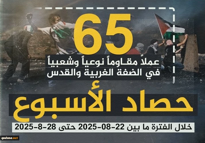 مرکز پژوهشی آماری معطی گزارش داد؛ 

65 عملیات مقاومتی در یک هفته اخیر/ ثبت میانگین بیش از 9 عملیات در هر روز+ نمودار 3