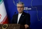 بقائی:  نسل‌کشی در فلسطین با همدستی، همکاری مستقیم و بی‌واسطه آمریکا در حال وقوع است