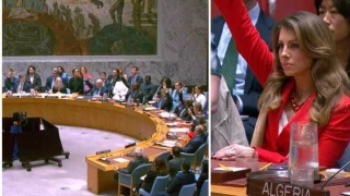US vetoes UN Security Council resolution demanding Gaza ceasefire