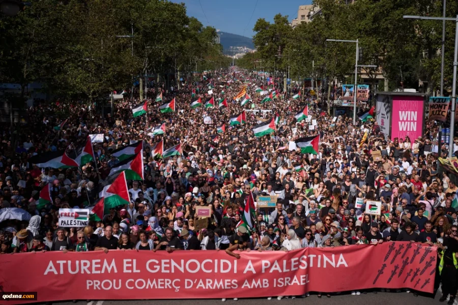 اعتراض جهانی به توقیف کاروان «الصمود»؛ روایت تصویری از خروش حامیان فلسطین 3