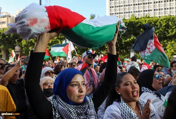 اعتراض جهانی به توقیف کاروان «الصمود»؛ روایت تصویری از خروش حامیان فلسطین 3