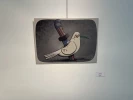 تصاویری از نمایشگاه سمفونی جنایت در موزه فلسطین
 2