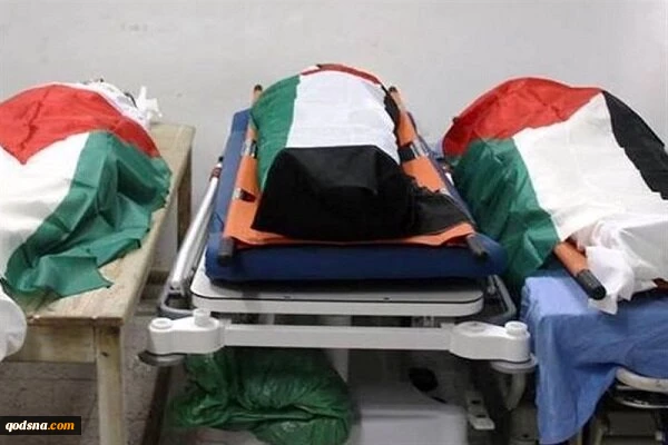 در ادامه توافق آتش‌بس و تبادل اسرا؛
پیکر ۱۵ شهید فلسطینی به وزارت بهداشت غزه تحویل شد 2