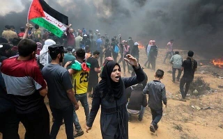 نتایج نظرسنجی در مورد طرح ترامپ:

مخالفت اکثر فلسطینی‌ها با خلع سلاح مقاومت و ناباوری شدید به تشکیل کشور مستقل فلسطین