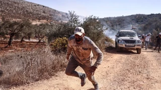 UNRWA:

West Bank olive harvest sees worst Israeli settler attacks this year