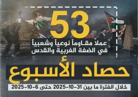 مرکز پژوهشی آماری معطی گزارش داد؛

53 عملیات مقاومتی در یک هفته اخیر/ ثبت میانگین 8 عملیات در هر روز+ نمودار