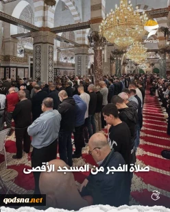 تصاویری از اقامه نماز صبح امروز در مسجد مبارک الاقصی