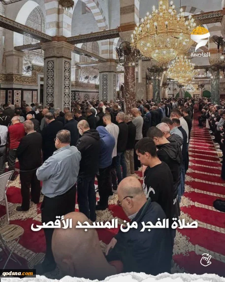 تصاویری از اقامه نماز صبح امروز در مسجد مبارک الاقصی