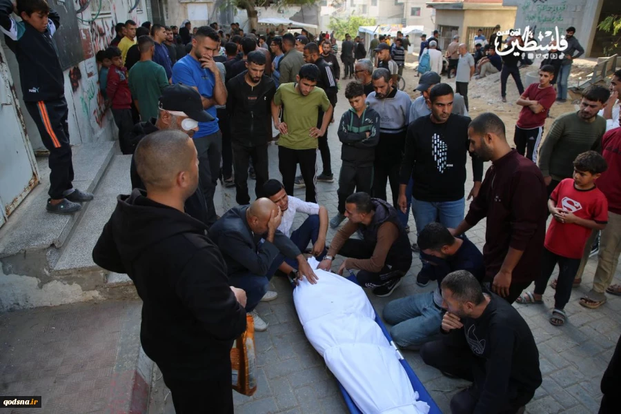 GMO documents 497 Israeli ceasefire violations since October 10