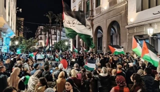 در یک هفته اخیر برگزار شد؛

تظاهرات گسترده در بیش از 10 کشور جهان در حمایت از فلسطین و تاکید بر تحریم رژیم صهیونی