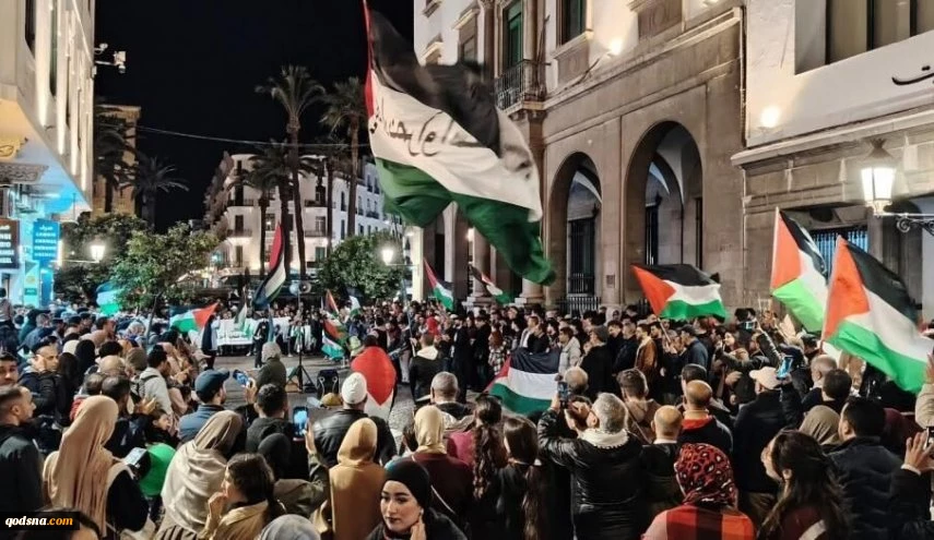 در یک هفته اخیر برگزار شد؛

تظاهرات گسترده در بیش از 10 کشور جهان در حمایت از فلسطین 2