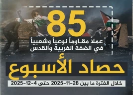 مرکز پژوهشی آماری معطی گزارش داد؛

85 عملیات مقاومتی در یک هفته اخیر/ ثبت میانگین بیش از 12 عملیات در هر روز+ نمودار