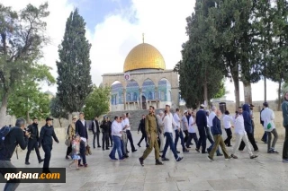 جولان شهرک نشینان صهیونیست در مسجدالاقصی