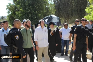 Dozens of Zionist settlers defile Aqsa Mosque