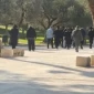 تعرض ده‌ها صهیونیست به مسجدالاقصی