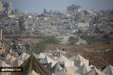 هشدار نسبت به جان دادن نوزادان فلسطینی در نوار غزه 2