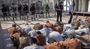 موسسه الضمیر: قانون اعدام اسرا با اصول بنیادین حقوق کیفری در تضاد است