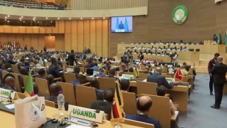 اعلام همبستگی سران آفریقا با ملت فلسطین