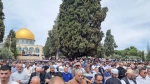 کارشناس امور قدس اشغالی:
تشدید محدودیت‌های اسرائیل علیه نمازگزاران فلسطینی/حضور در مسجدالاقصی بهترین دفاع از آن است 2