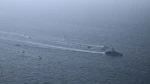 دروغ پردازی وزیر انرژی آمریکا؛
سی‌ان‌ان: آمریکا هیچ نفتکشی را در تنگه هرمز اسکورت نکرده است 2