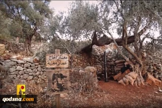آژیر خطر حمله پهپادی در شمال فلسطین اشغالی/ ضربات مهلک مقاومت به اشغالگران ادامه دارد