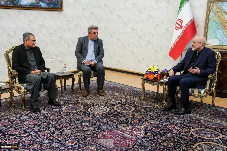 دیدار وزیر کشور پاکستان با رئیس مجلس شورای اسلامی؛

قالیباف: برخی دولتهای منطقه تصور می کردند حضور آمریکا برای آنها امنیت آور است
 2