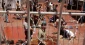 مؤسسه حقوقی:
 زندان‌های رژیم صهیونیستی به صحنه نسل‌کشی تدریجی علیه اسرا تبدیل شده‌اند/ شهادت۳۲۶  اسیر فلسطینی در زندان‌های رژیم صهیونیستی
