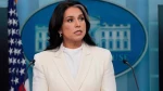 ​US President Donald Trump’s Director of National Intelligence (DNI) Tulsi Gabbard has resigned amid intense pressure from the White House after she strongly objected to the US-led illegal war of aggression against Iran, informed sources have revealed.
