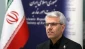سخنگوی وزارت امور خارجه: حمله پلیس هلند به همسر باردار مرد فلسطینی، نقض فاحش حقوق بشر است