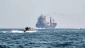 Strait of Hormuz reopening
tied to curbing Israel