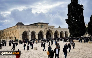 تعرض1400 شهرک‌نشین به صحن‌های مسجدالاقصی