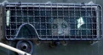 إعلام الأسرى: 94 أسيرة في سجن الدامون يواجهن أوضاعًا صحية وإنسانية خطيرة 2