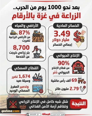 و 1000 يوم من الحرب.. الزراعة في غزة بالأرقام