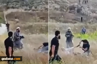 ما الذي نعرفه عن أحداث بلدة تل في نابلس بالضفة الغربية؟