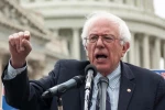 Senator Sanders: